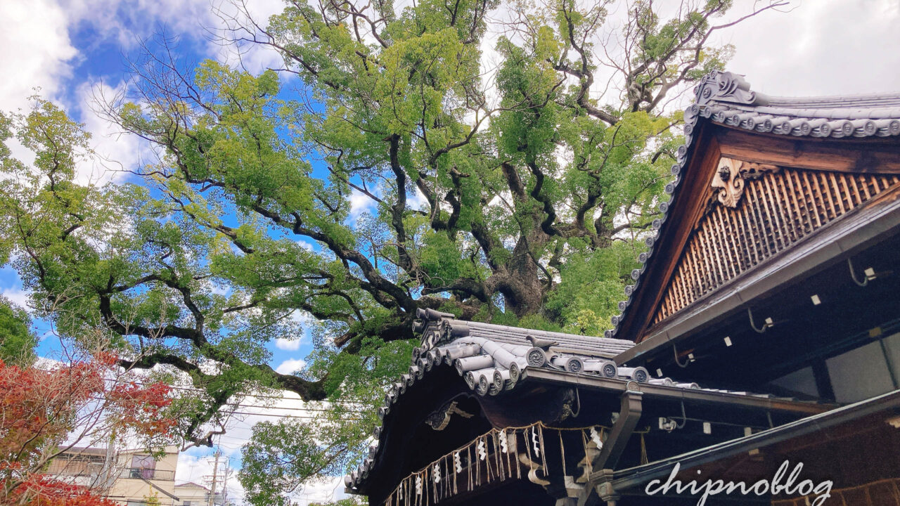 新熊野神社