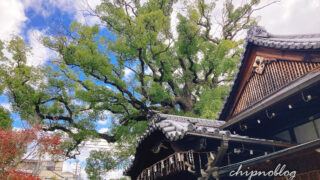 新熊野神社