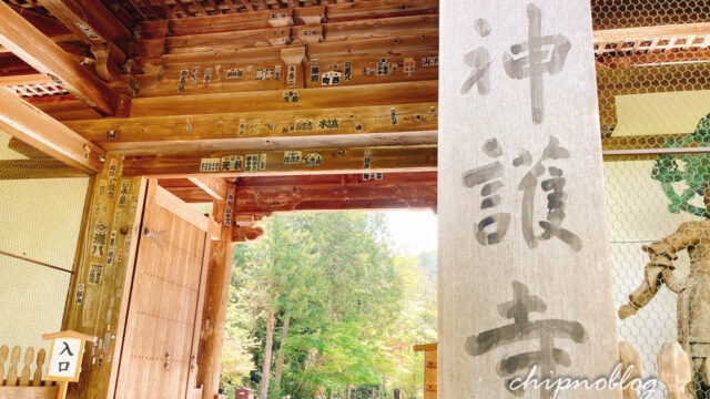 神護寺　源頼朝像　虫干し　