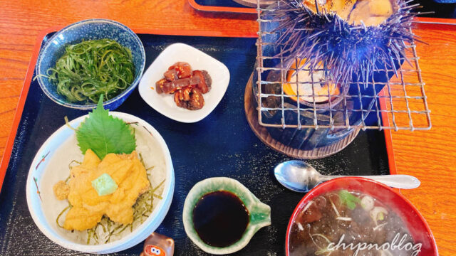ウニ　木古内　ムラカミヤ　焼きウニ　