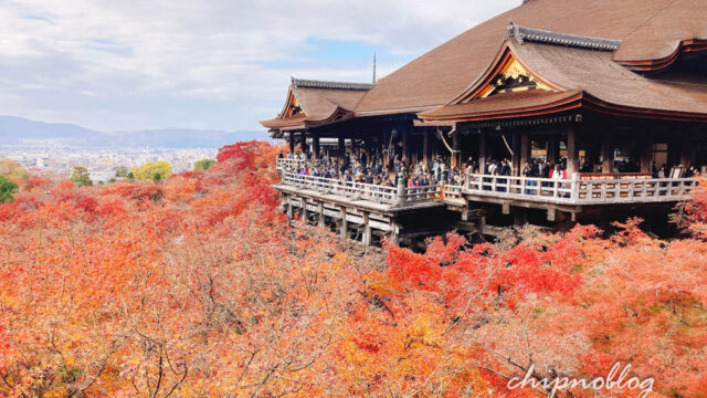 清水寺　紅葉　