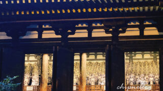 三十三間堂　夜間拝観　国宝　2025