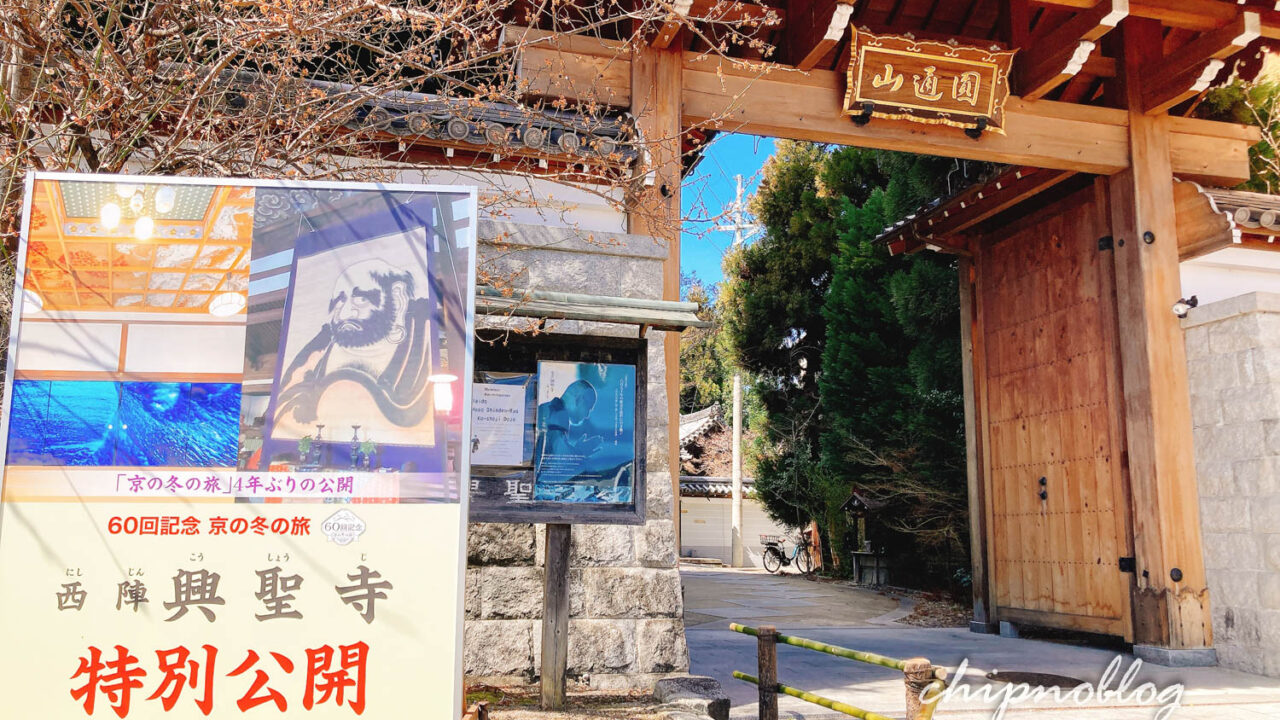 興聖寺　達磨図　冬の旅