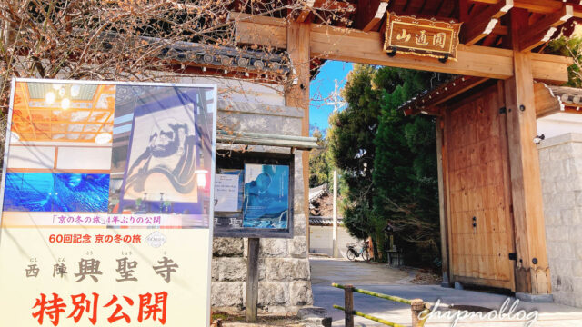 興聖寺　達磨図　冬の旅