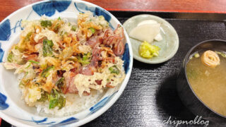 わたつね　ほたるいか　かき揚げ