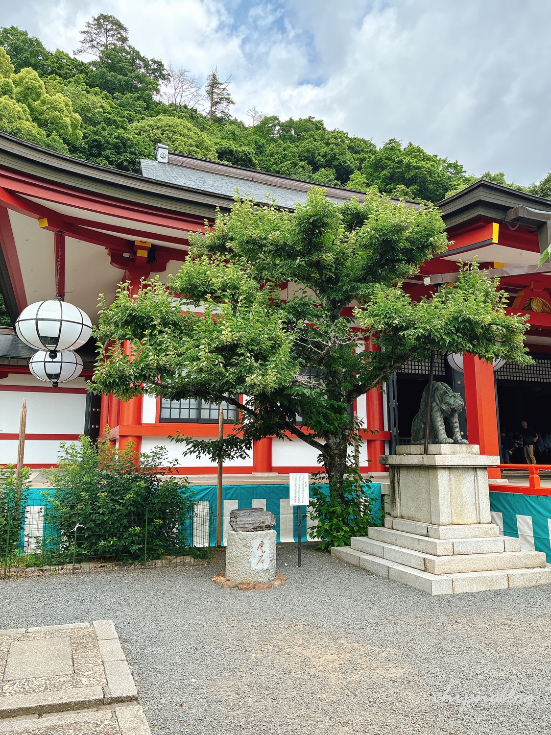 鞍馬寺　大杉　美玉屋