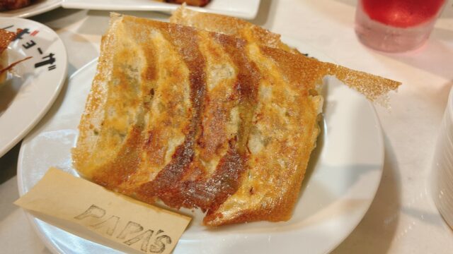 モトイギョーザ　餃子　
