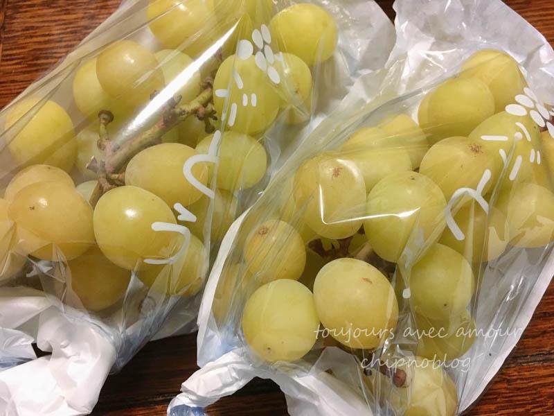 内子百楽園の直売所で販売されていた緑のぶどう