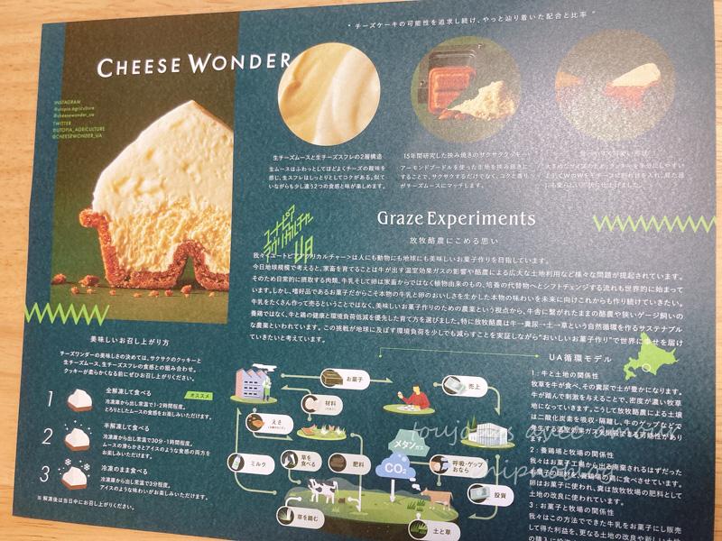 チーズワンダーのチラシ